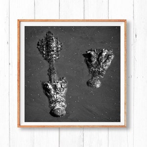 Black and White Crocodiles Printable, Wild Animal Wall Decor, Digital Download, Alligator Poster, Fine Art Photography, Minimalist Wall Art