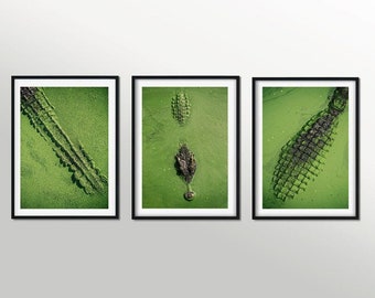 Gravuras de crocodilos, arte de parede de animais selvagens, conjunto de 3 impressões, pôsteres de arte moderna, impressão verde minimalista, decoração para impressão, download digital