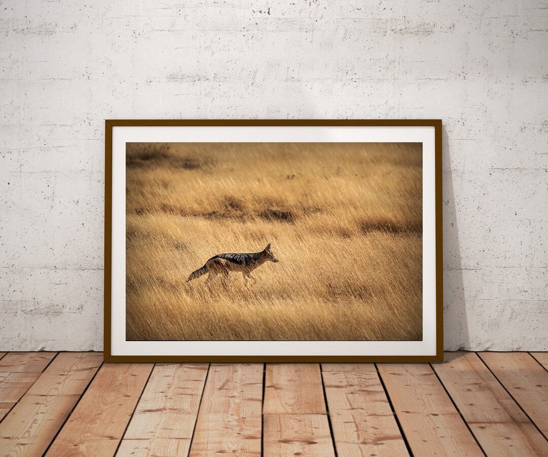 African Animal Wall Art Jackal Printable Wilderness Etsy