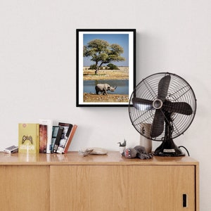 May include: A framed photograph of a black rhinoceros walking towards a watering hole in a savanna landscape. A tree with green leaves is in the background.