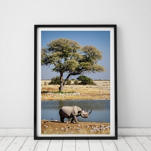 May include: A black rhinoceros walks towards a watering hole in a savanna landscape. A large tree with green leaves stands in the background. The sky is blue with white clouds.