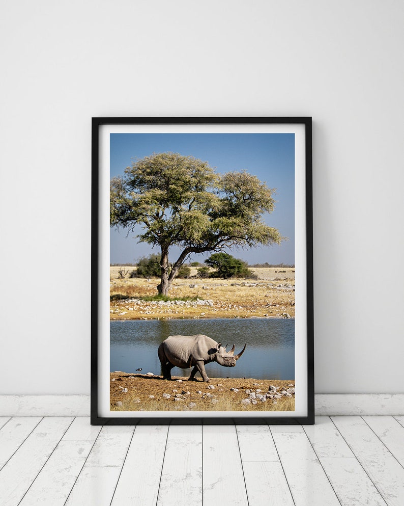 May include: A black rhinoceros walks towards a watering hole in a savanna landscape. A large tree with green leaves stands in the background. The sky is blue with white clouds.