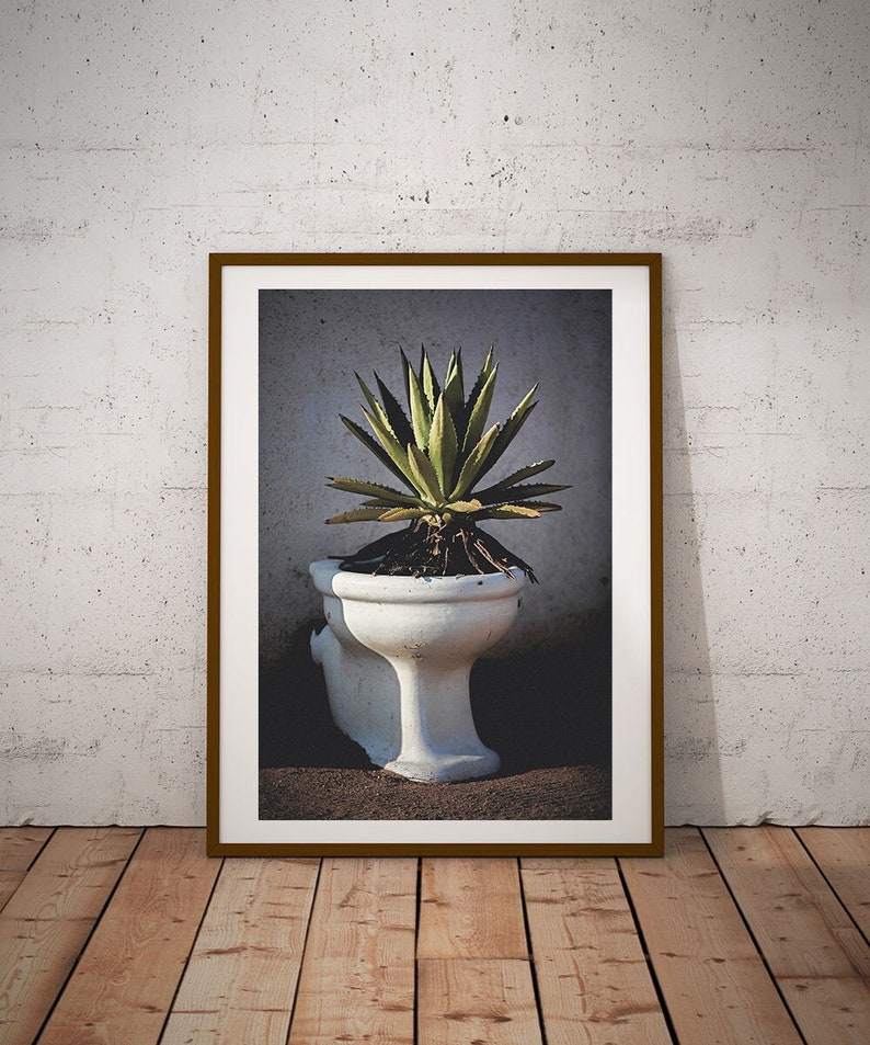 Funny Toilet Wall Art Bathroom Wall Decor Cactus Print - Etsy