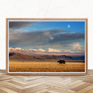 Tibetan Yak Printable, Mongolia Travel Photography, Asia Landscape, Instant Download, Nature Wall Decor, Downloadable Print, Wild Animal Art
