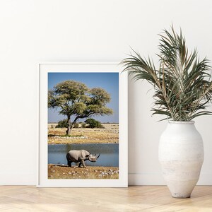 May include: A black rhinoceros walks towards a watering hole in a dry, grassy savanna. A lone tree stands in the background. The rhinoceros is in focus, while the background is blurred.