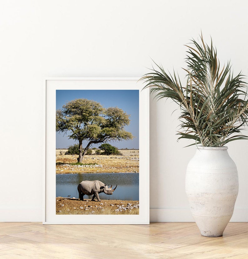 May include: A black rhinoceros walks towards a watering hole in a dry, grassy savanna. A lone tree stands in the background. The rhinoceros is in focus, while the background is blurred.