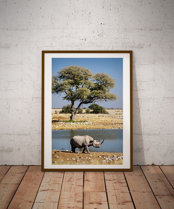 Namibia Rhino Photography Print, African Safari Wall Art (Digital Download)
