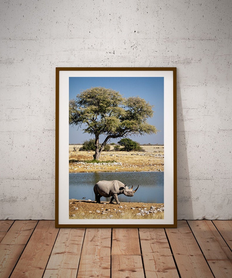 May include: A black rhinoceros walks towards a small body of water in a savanna landscape. A large tree with green leaves stands in the background.