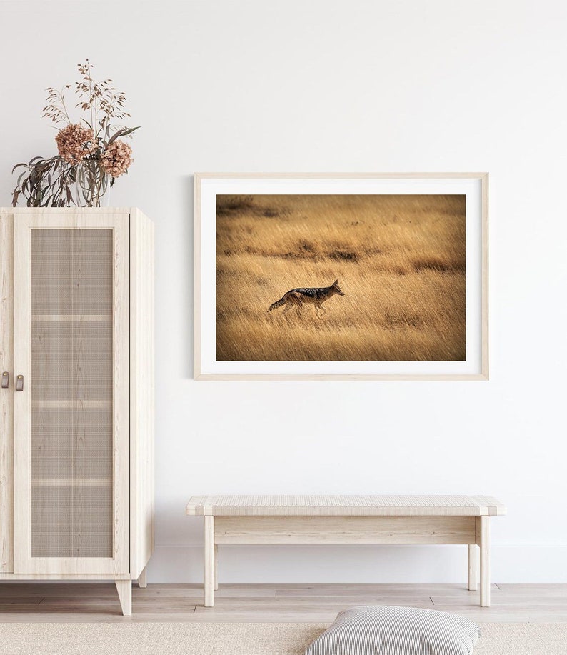 African Animal Wall Art Jackal Printable Wilderness Etsy