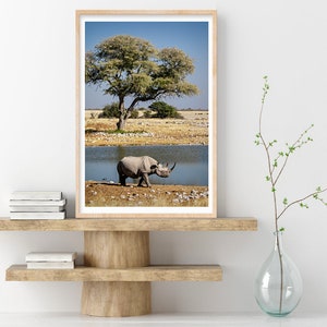 May include: A black rhinoceros walks along the edge of a watering hole in a dry, grassy savanna. A lone tree stands in the background.