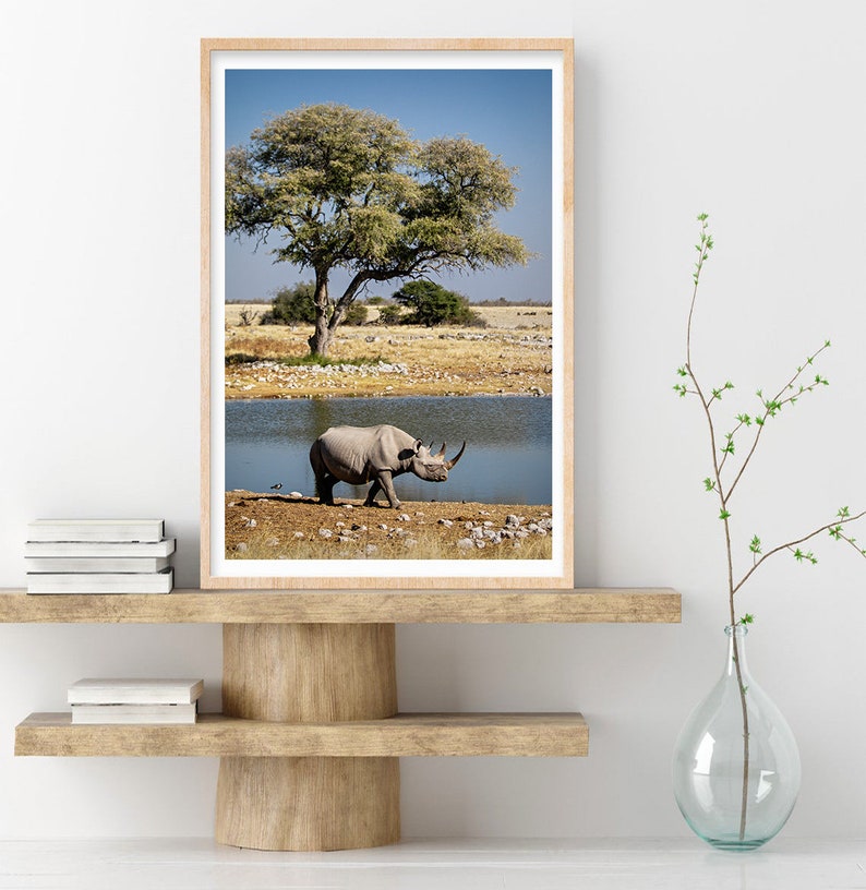 May include: A black rhinoceros walks along the edge of a watering hole in a dry, grassy savanna. A lone tree stands in the background.