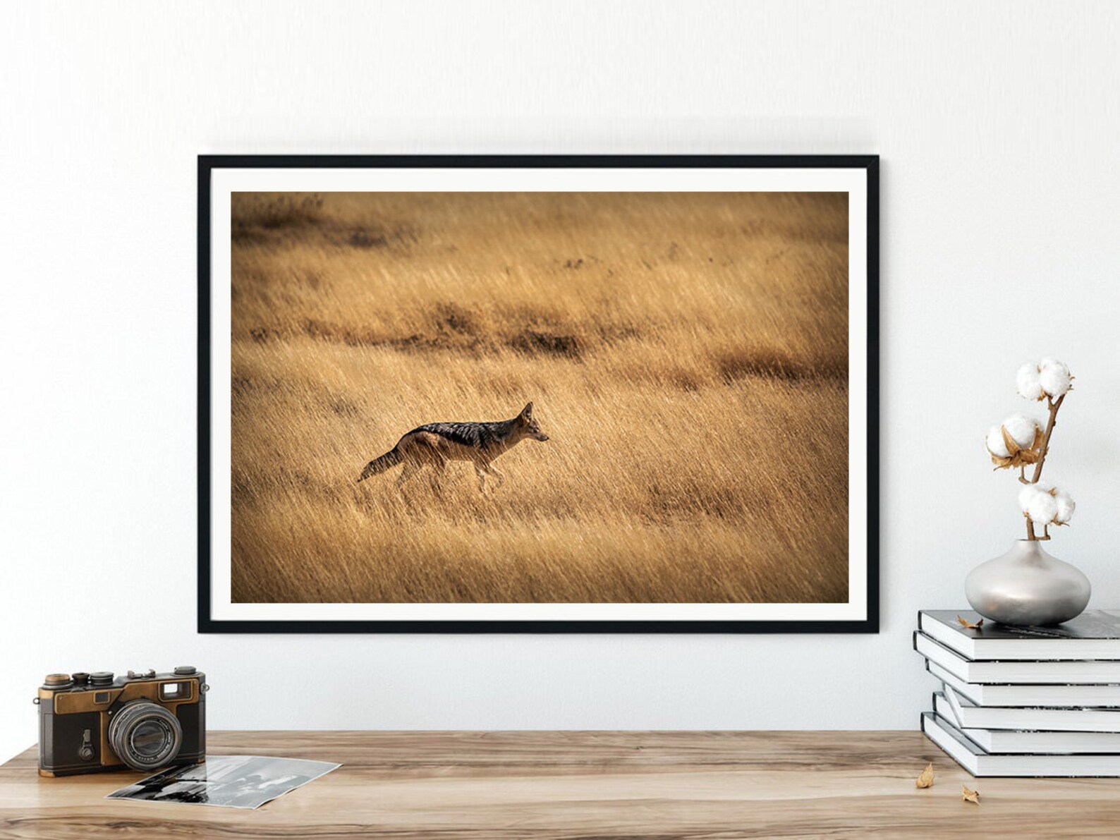 African Animal Wall Art Jackal Printable Wilderness Etsy