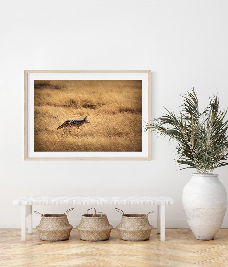 African Animal Wall Art Jackal Printable Wilderness Etsy