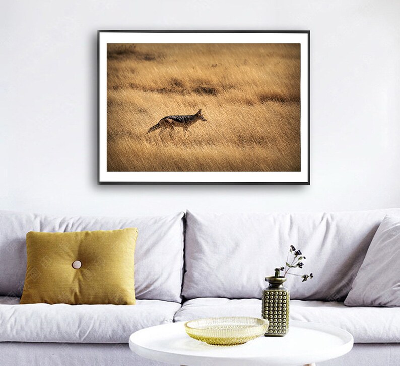 African Animal Wall Art Jackal Printable Wilderness Etsy