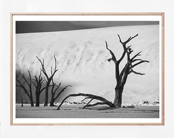 Namib Desert Tree Print, Black and White Landscape Photography (Digital Download)