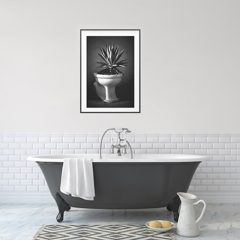 Bathroom Wall Decor, Funny Toilet Wall Art, Cactus Print, Digital — free download