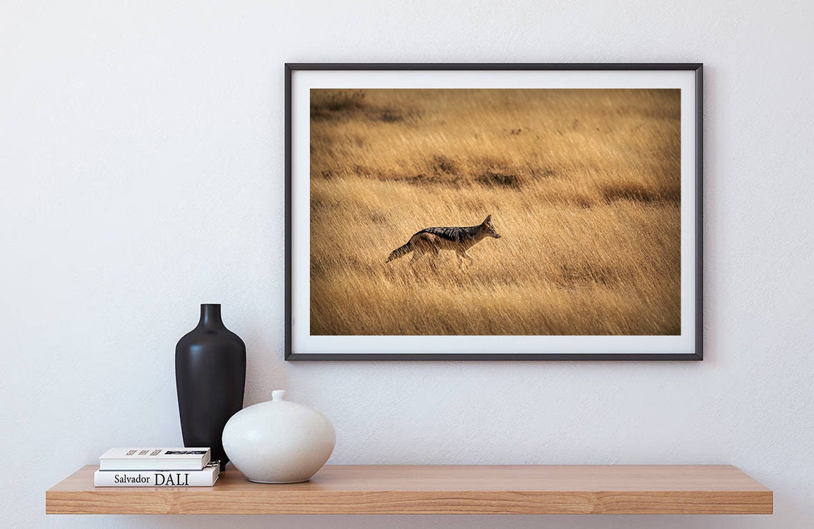 African Animal Wall Art Jackal Printable Wilderness Etsy