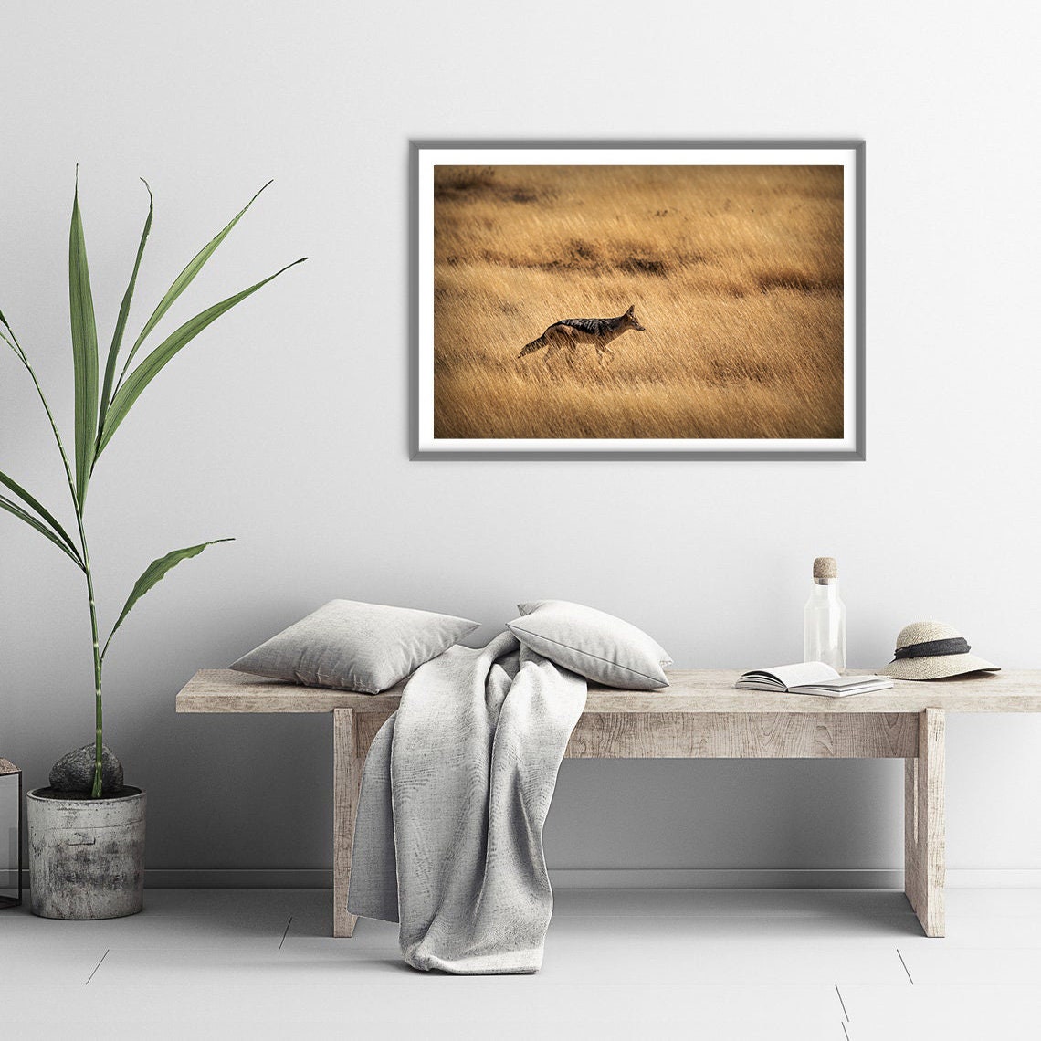 African Animal Wall Art Jackal Printable Wilderness Etsy