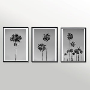 Black and White Palm Prints, Tropical Palm Trees Printabele, Set Of 3 Prints, Digital Download, Beach Wall Decor, Modern Minimalist Poster