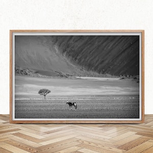 Africa Wall Art, Oryx Gazella Antelope Printable, Namib Desert Art, Instant Download, Fina Art Photography, Safari Art Print, Animal Poster