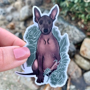 Dog Sticker, Xolo Dog, Xoloitzcuintli, Mexican Dog, Brown Dog, Hairless Dog, Waterproof Sticker, Coco Dog Sticker, Computer Sticker, green