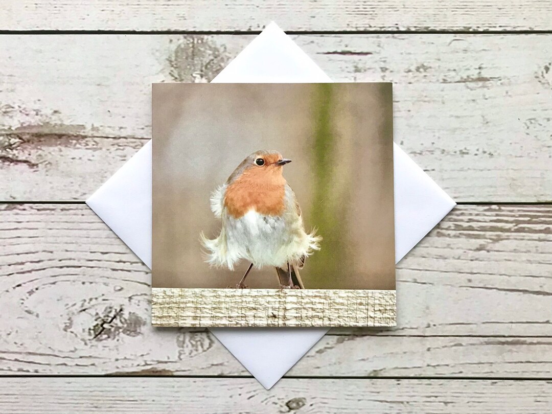 Robin Lovers, Thinking of You Card, Bird Lovers, Christmas Card, Robin ...