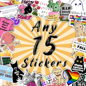 Wähle 15 [FÜNFZEHN] Sticker aus dem gesamten Sortiment (außer Spiegelsticker) | Vinyl Sticker Bundle | Combo Set | Feminismus mental health