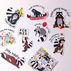 Das ultimative Waschbär - Sticker - Set - wholesome sticker | cute supportive und als Geschenk für Freund*innen geeignet! Raccoon Trashpanda