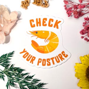 Könnte beinhalten: Ein weißer Aufkleber mit einer orangefarbenen Garnelenillustration und dem Text "CHECK YOUR POSTURE" in Orange. Die Garnele ist gelb und orange mit weißen Akzenten. Der Aufkleber ist von Trockenblumen und Grün umgeben.
