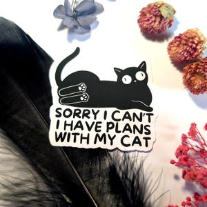 Könnte beinhalten: Schwarzer Katzenaufkleber mit dem Text "SORRY I CAN'T I HAVE PLANS WITH MY CAT". Die Katze liegt mit sichtbaren Pfoten. Der Aufkleber ist von Trockenblumen und einer schwarzen Feder umgeben.