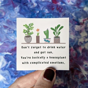 Könnte beinhalten: Eine weiße Karte mit einem motivierenden Zitat über Zimmerpflanzen. Das Zitat lautet: "Vergiss nicht, Wasser zu trinken und Sonne zu tanken. Du bist im Grunde eine Zimmerpflanze mit komplizierten Emotionen."