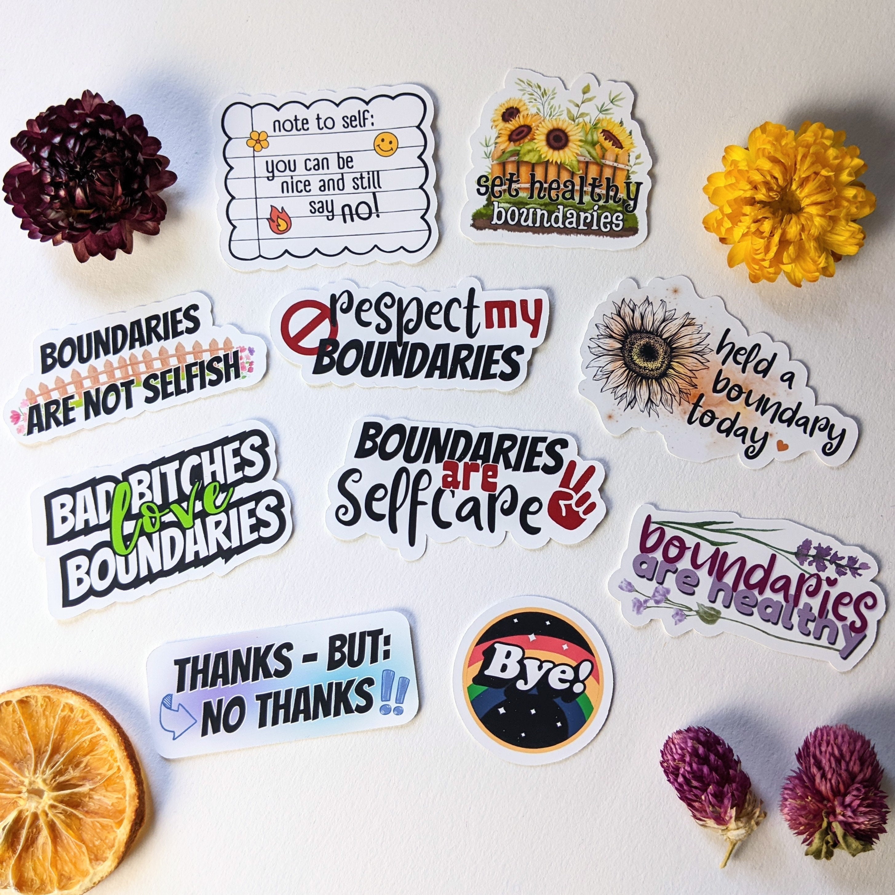Boundaries Mental Health Sticker Set - Psychology Sticker | Show Your ...