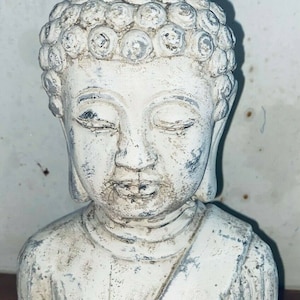 May include: White painted bust of a Buddha statue with a detailed head and a simple robe. The statue has a serene expression.