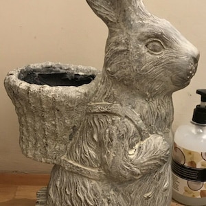 Könnte beinhalten: Ein grauer Beton-Hasentopf mit strukturierter Oberfläche. Der Topf hat eine korbähnliche Öffnung auf der Rückseite zum Pflanzen.