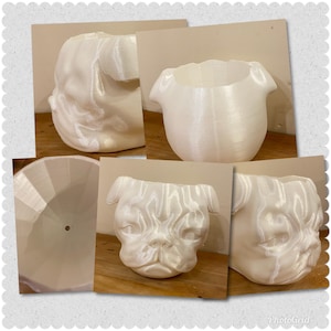 Puede incluir: Un conjunto de cuatro macetas blancas impresas en 3D con forma de cabeza de perro carlino. Las macetas se muestran desde diferentes ángulos, incluyendo las vistas superior, frontal y lateral.