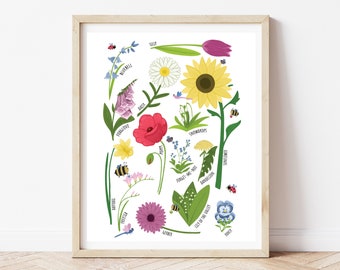 Spring flowers watercolor art print for kids | Child herbarium wall art | Spring botanical poster with wildlife and flowers names UNFRAMED