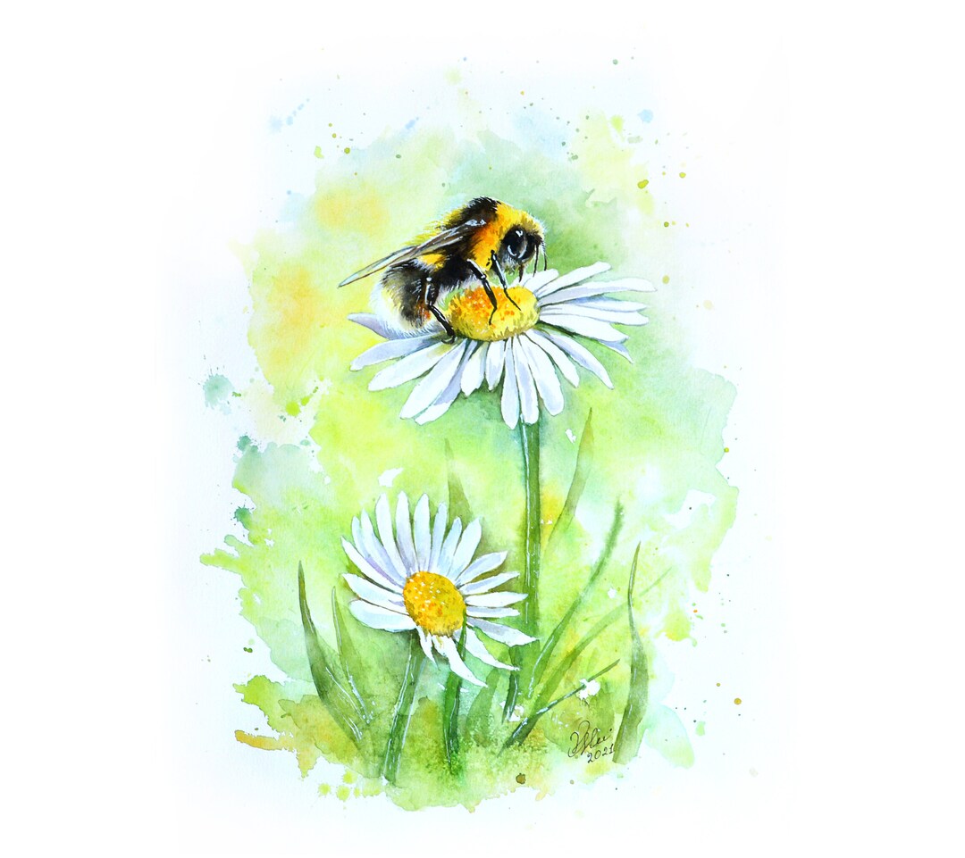 Original Watercolor Bumblebee Painting – Botanical Daisy Art - Etsy