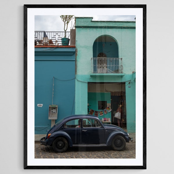 Beetle in Oaxaca - Mexico Photo Print - Digital Download