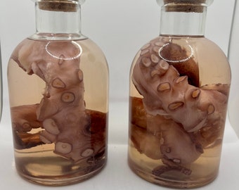 Wet Specimen Preserved Octopus Tentacle