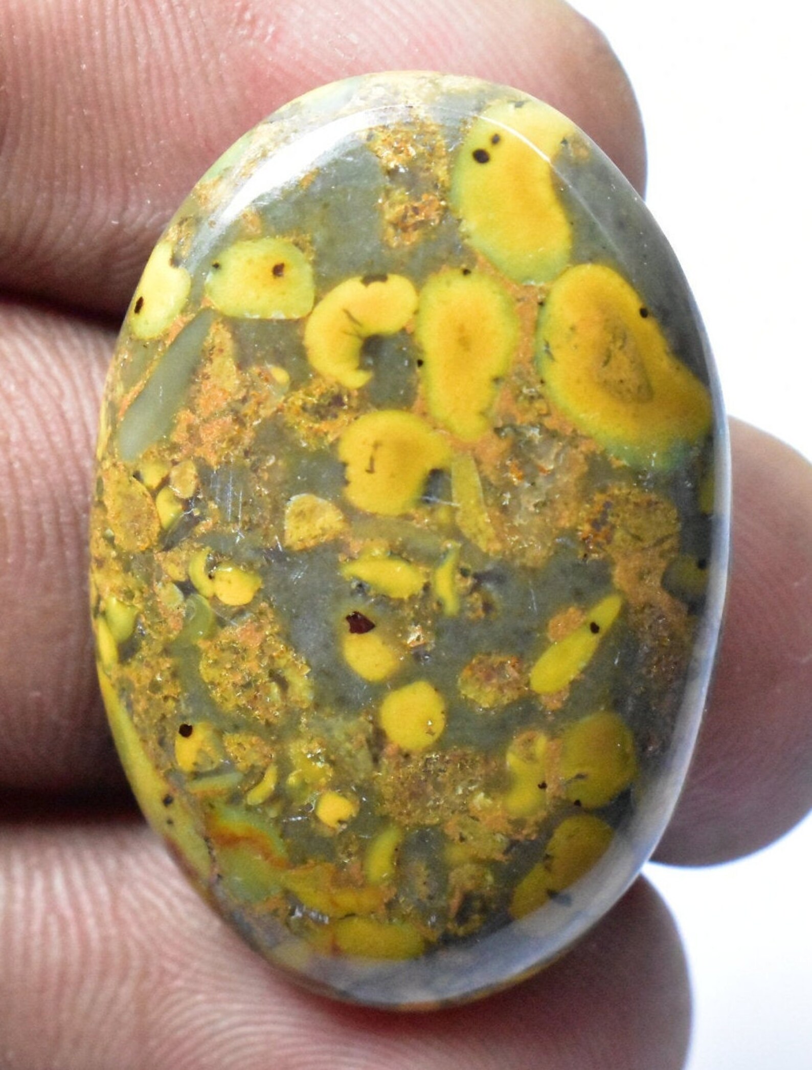 Fantastic Fruit Jasper Gemstone. Natural Fruit Jasper. Fruit Etsy