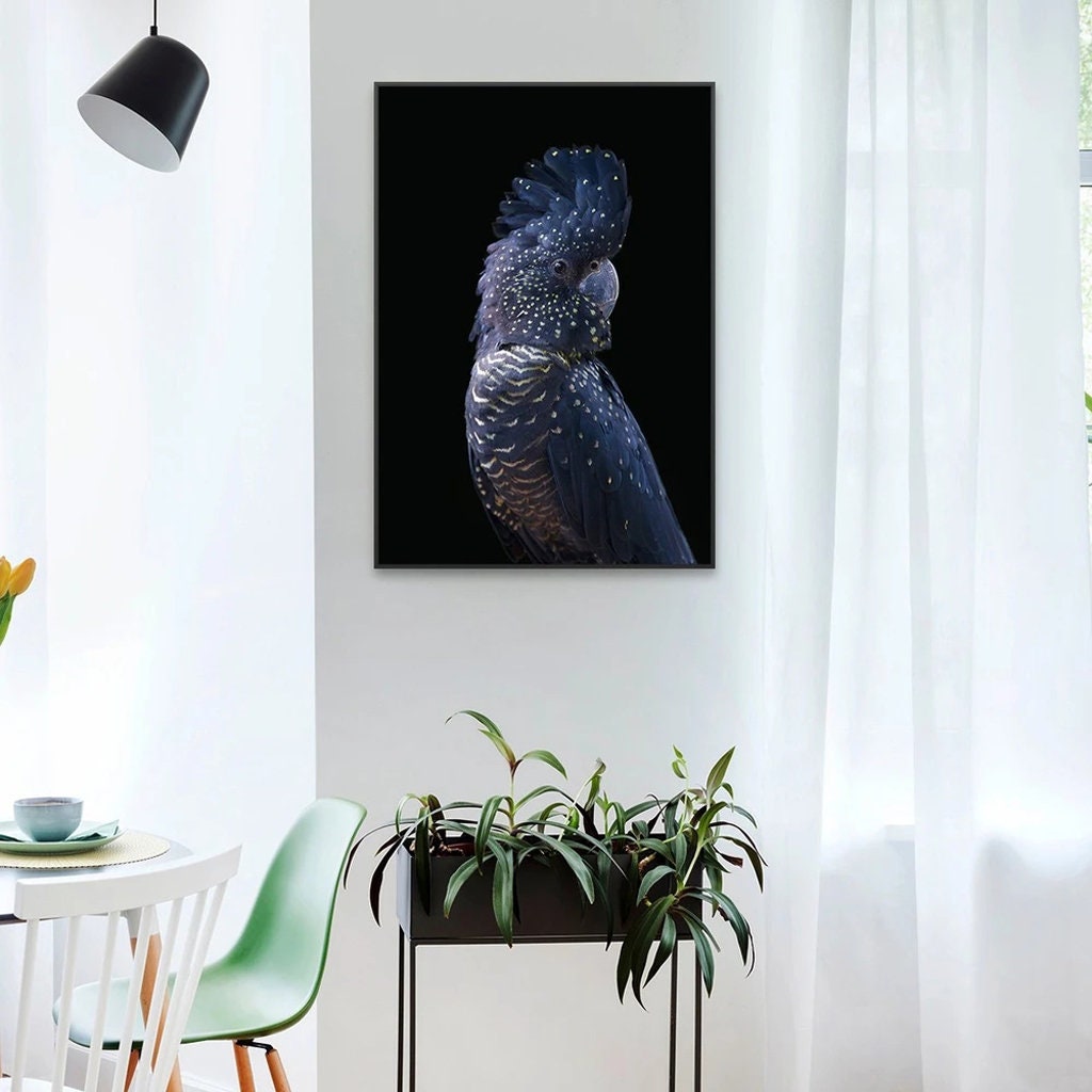 Wall Art Black Cockatoo Canvas Prints Poster Prints Etsy Australia