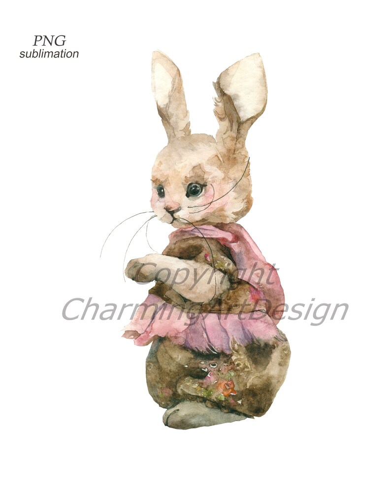 Baby Bunny Print Nursery Decor Nursery Wall Art Baby Shower Gift Personalized Gift for Girls sublimation Watercolor Rabbit Print,PNG