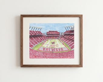 University of South Carolina Gamecocks Football Watercolor Print: Williams-Brice Stadium Art