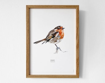 roodborst - poster A4