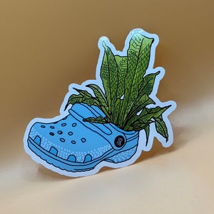 May include: A blue plastic clog with a green plant growing out of it. The plant has long, thin leaves.