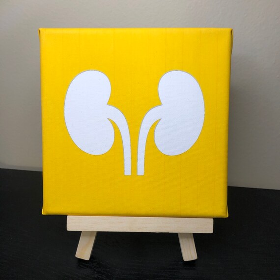 Medical Wall Art Medicine Wall Decor Kidneys Canvas Art Etsy