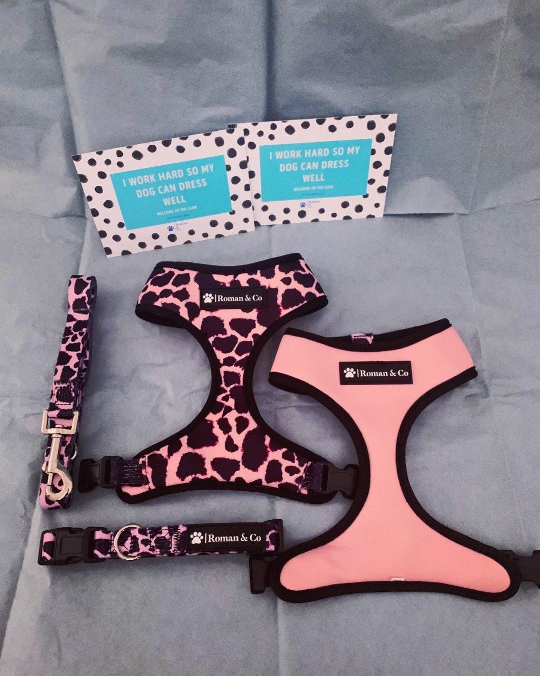 Matching Leopard Print Dog Harness Collar and Lead Set Pink Etsy