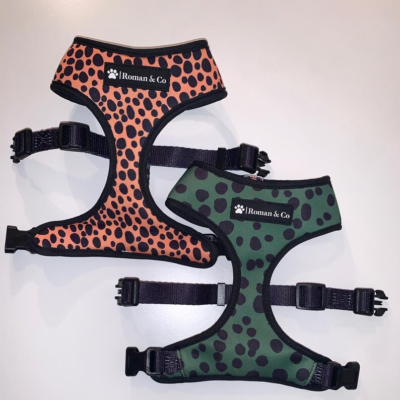 Reversible 2in1 Neoprone Adjustable Dog Harness Wild Thing Orange and Green Polka Dot