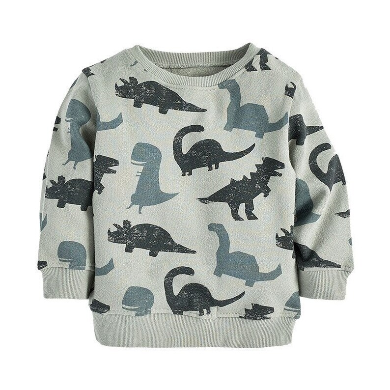 Cartoon Dinosaur Sweatshirts for Little Kids Hoodies Clothes Etsy