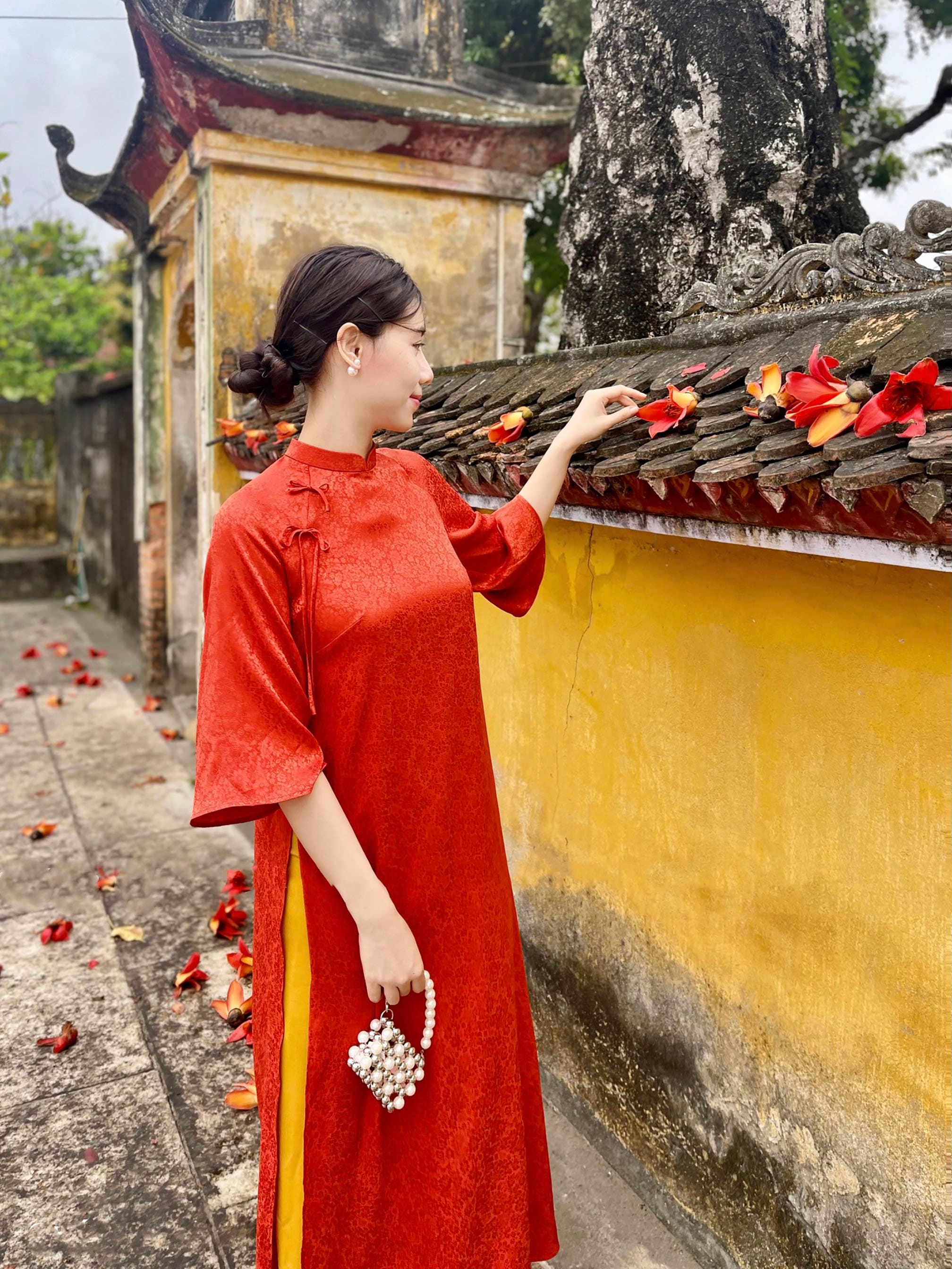 [No 270] ベトナムアオザイ(Áo dài Việt Nam ) Monk Minh Tue Inspried Ao Dai | Printed Traditional